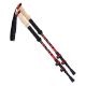 2. Trekking poles Kathmandu