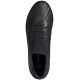 2. Adidas Predator Accuracy.1 Low FG M GW4575 football shoes