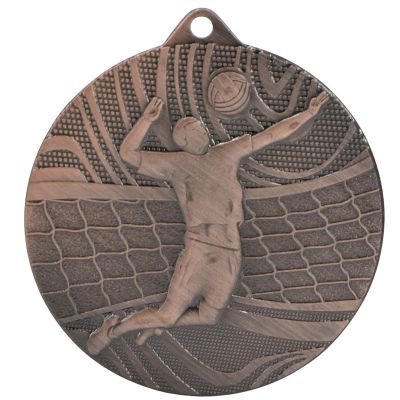 Bronze Medal – Volleyball – Steel Medal