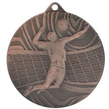 Bronze Medal – Volleyball – Steel Medal