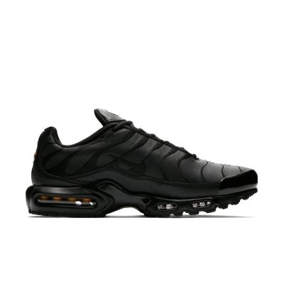 Nike Air Max Plus M AJ2029-001 shoes