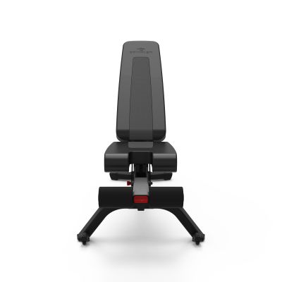 2. Bowflex 4.1S 100918 Workout Bench