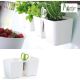 11. TWINS CUBE HERB POT WITH SCISSORS WHITE