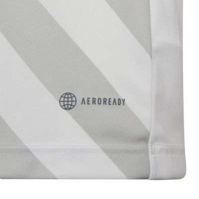 10. adidas Entrada 22 Graphic Jersey Jr HF0120