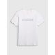 10. Men's regular printed T-shirt 4F 4FRAW25TTSHM3384-10S