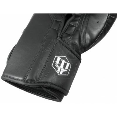 17. Boxing gloves Masters RPU-MFE 0125523-1201