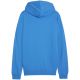 2. Puma Team Goal Casuals Hooded M 658595 02 sweatshirt