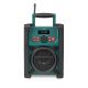 Nedis RDDB3100GN Portable Radio Analog & Digital Black, Green