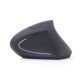 5. GEMBIRD MUSW-ERGO-01 mouse (optical; 1600 DPI; black)