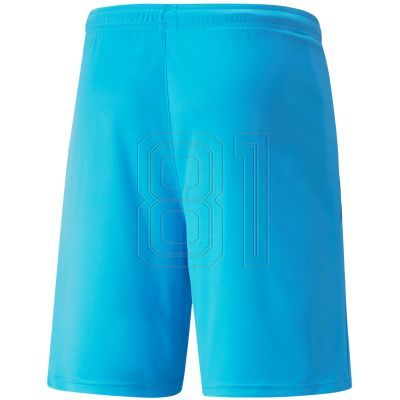 2. Puma teamLIGA M 704924 40 shorts