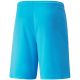 2. Puma teamLIGA M 704924 40 shorts