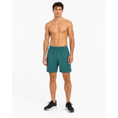 3. Men's quick-drying training shorts 4F 4FWSS26TFSHM1277-41M