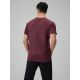 2. Men's quick-drying regular training T-shirt 4F 4FRSS26TFTSM2289-60S