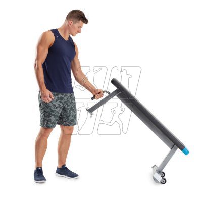 18. Proform Carbon Strength PFBE09620 horizontal bench