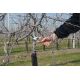Felco 2 Anvil Garden Shears Red