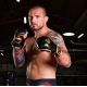 37. MMAsparring gloves M - Aureos - Valor Series