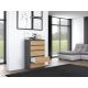 2. Chest of drawers M5 70x40xH112 anthracite/artisan