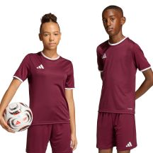 adidas Entrada 26 Jersey burgundy kids' T-shirt JZ2530