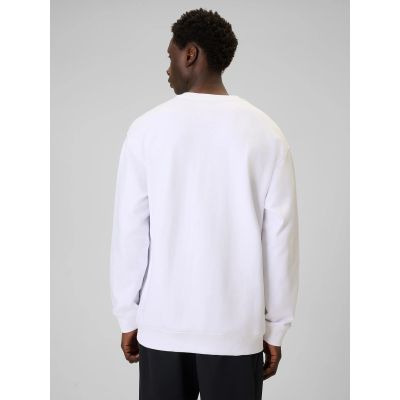 4. Men's sweatshirt without zipper and hood 4F 4FRAW25TSWSM2493-10S