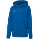3. Puma teamGOAL 23 Casuals Hoody Jr 656711 02