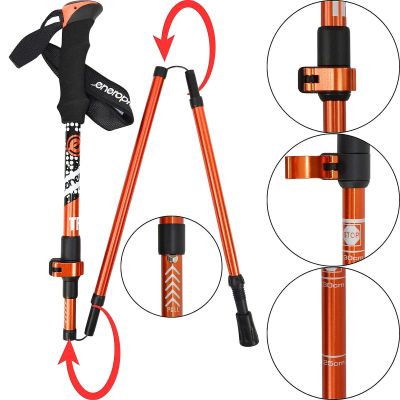 10. NORDIC WALKING TRIP POLES IN ENERO PRO CASE