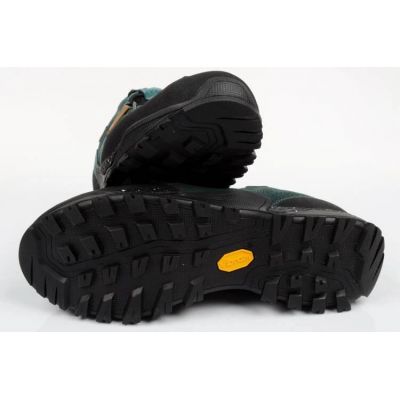10. Aku Nativa GTX W 629676 trekking shoes