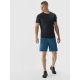 4. Men's 4F quick-drying regular training shorts 4FWAW24TFSHM698-46M