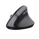 19. TRUST BAYO II ERGONOMIC WIRELESS MOUSE BLK (25145)