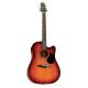 Samick D 1 CE N - electro-acoustic guitar