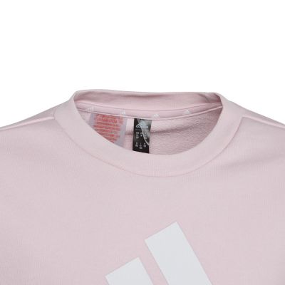 4. Adidas Big Logo Swt Jr IC6119 sweatshirt