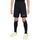 3. Nike Dri-Fit Academy 25 Jr Shorts FZ9784 010