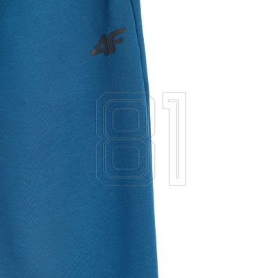 6. Men's trousers 4F CAS M1140 sea green 4FWMM00TTROM1140 46S