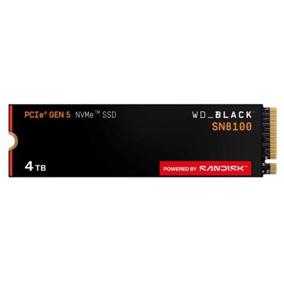 4. SSD WD Black SN8100 w/o HS 4TB WDS400T1X0M