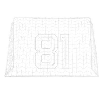 3. Goal with net and aiming panel Nils BR240P 2in1 240x150cm 10-10-821