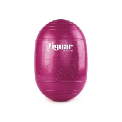 2. Tiguar ovoball TI-V001S gymnastic ball