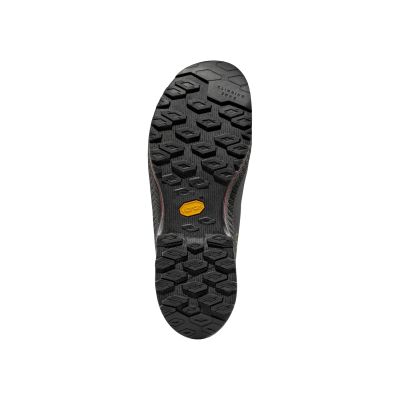 6. La Sportiva TX4 EVO MID GTX ZFAS047N07E32 Mocha/Savana