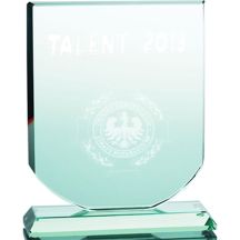 3D engraved glass trophy with case