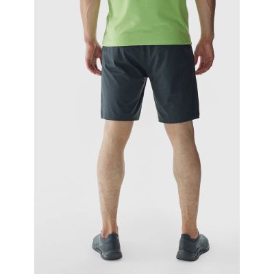 2. Men's 4F quick-drying regular training shorts 4FWAW24TFSHM697-22M