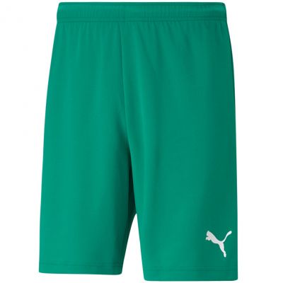 Puma teamRISE Shorts M 704942 05