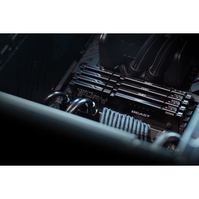 14. Kingston FURY DDR5 16GB (2x8GB) 6000MHz CL36 Beast Black EXPO