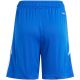 3. Adidas Tiro 24 Jr shorts IR9366