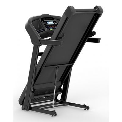 2. HORIZON FITNESS T202-26 Electric Treadmill