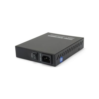 LevelOne FVM-1000 media converter - Ethernet, Fast Ethernet - 10Base-T, 100Base-FX, 100Base-TX - RJ-45 / SFP (mini-GBIC) (FVM-1000)