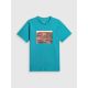 5. Men's regular printed T-shirt 4F 4FRSS26TTSHM4238-35S
