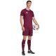 8. adidas Entrada 26 Jersey Men's T-Shirt burgundy JZ2507