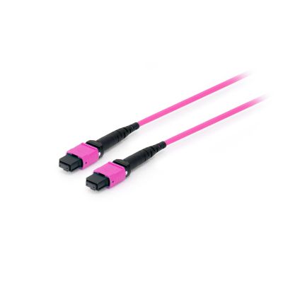 2. Equip MTP->MTP patch cable 3.00m multimode OM4 purple