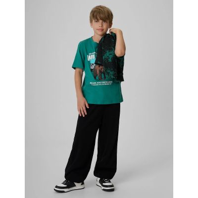 4. Boy's regular printed T-shirt 4F 4FJKAW26TTSHM4456-46S