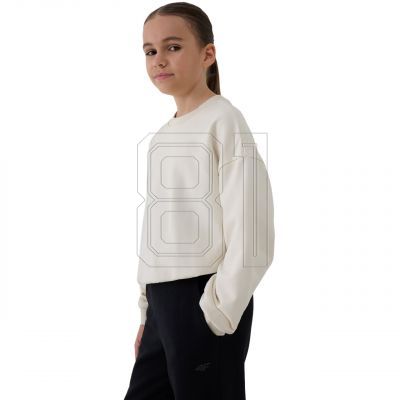 7. Sweatshirt 4F F1479 Jr 4FJWSS25TSWSF1479 12S