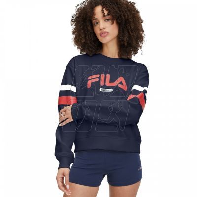 5. Fila Barumini Hoody M FAU0068.10001