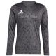 8. adidas Team Icon 25 Jersey Long Sleeve M JH3334